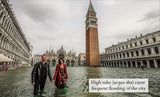 The Venice case - The Lion of St. Marco with the lettering